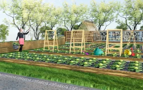 Outdoor Vegetable Garden