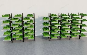 Vertical Vegetable Garden