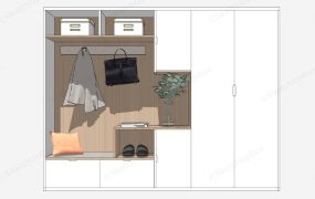 Entryway Closet Idea