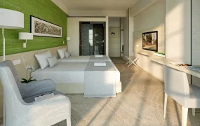 Standard Twin Bed Room