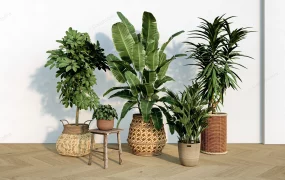 Rattan Potted Plants