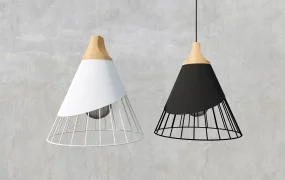 Designer Pendant Lights