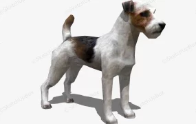 Jack Russell Terrier