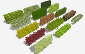 Landscaping Bushes Shrubs Hedges