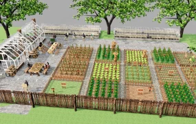 Community Vegetable Garden