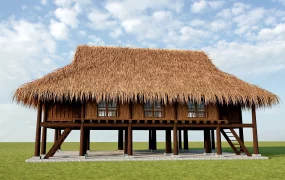 Thatched Stilt House