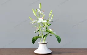 Flower Arrangement In Vase