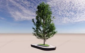 Raised Bed With Bench