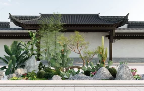 Cactus And Stone Garden