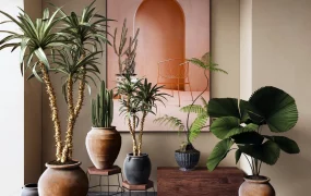 Organic Modern Indoor Plant Collection & Vignette SketchUp 3D Model