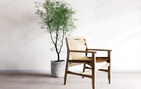 Accent Chair And Houseplant