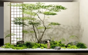 Indoor Zen Moss Garden
