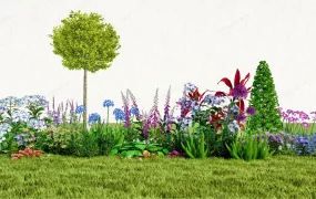 Landscape Border Plants