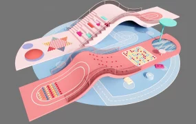 Toddler Playground Equipment