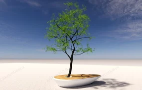 Wrap Around Tree Bench Idea