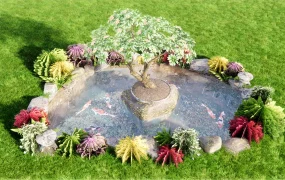 Backyard Fish Pond