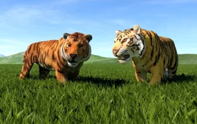 Orange Tigers