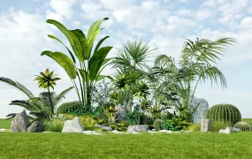 Garden Border Plant Landscaping