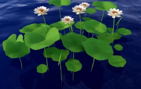 White Water Lily Pond Plant