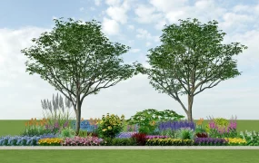 Perennial Flower Garden Border Design