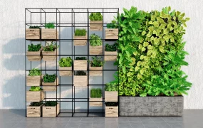 Vertical Garden Green Wall & Planter Shelf