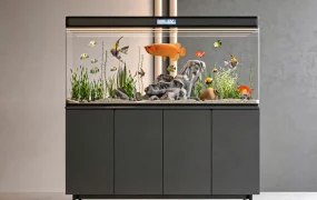 High End Aquarium With Cabinet Stand