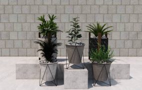Minimalist Concrete Planter Set