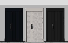 Luxury Security Door with Smart Lock