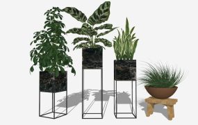 Indoor Planter Stand Ideas