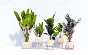 Tropical Houseplant With Stand
