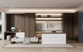 Minimalist Dressing Room Interior