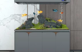 Home Aquarium Idea