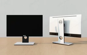 Dell Computer Monitors