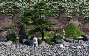 Small Courtyard Japanese Garden