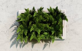 Living Frame Vertical Garden