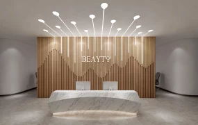 Incredible Office Reception Desk