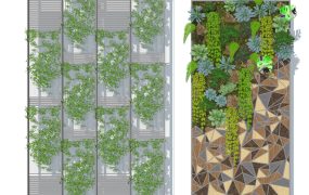Indoor Green Wall Idea