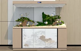 Fish Aquarium With Stand