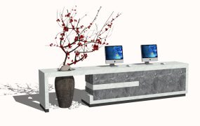 Creative Reception Counter