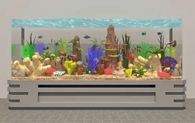 Beautiful Tropical Fish Tank