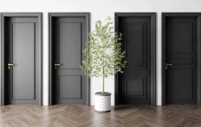 Modern Black Paneled Doors