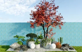 Landscape Design Plants