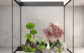 Japanese Indoor Garden