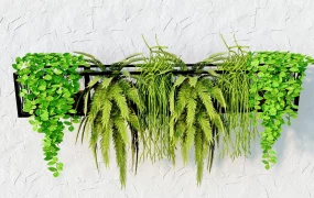 Wall Mounted Planter Holder