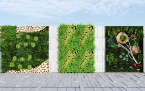 Outdoor Vertical Green Wall