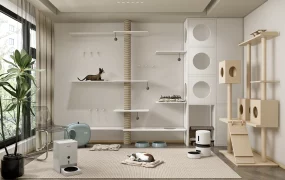 Cat Room Design Idea