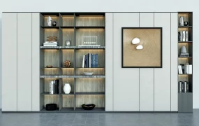 Modern Wall Bookcase