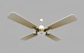 Modern Style Ceiling Fan