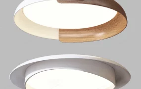 Minimalist Ceiling Lights