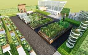 Outdoor Vegetable Garden